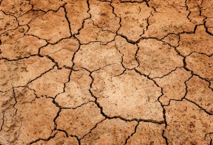 В Ленобласти полностью пересохла река Саблинка – видео с последствиями аномальной жары