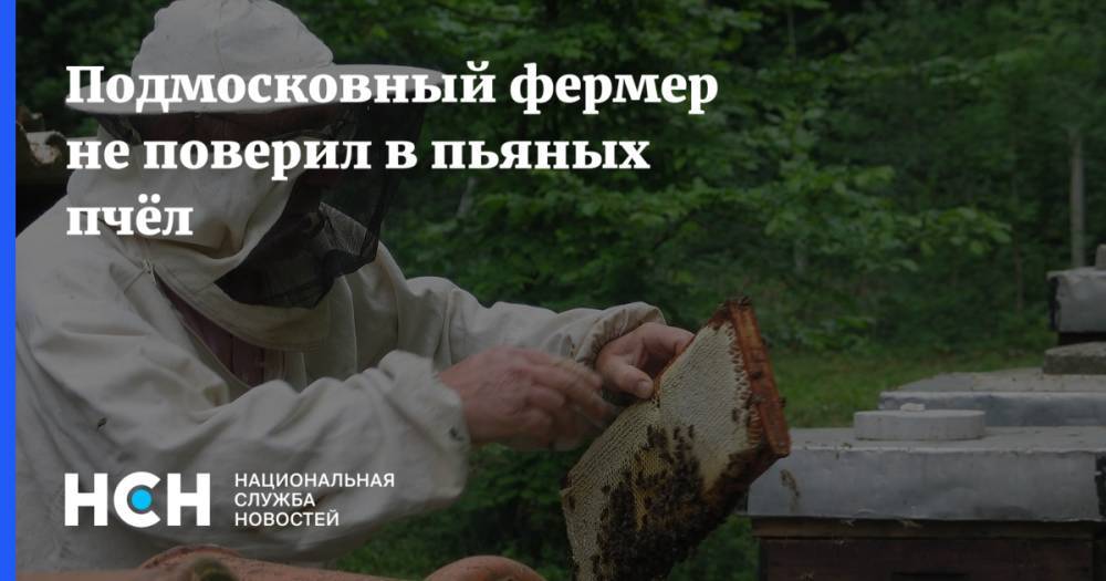 Подмосковный фермер не поверил в пьяных пчёл