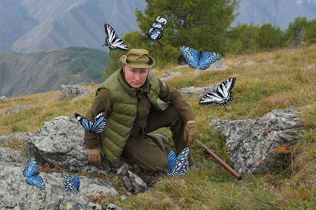 Путину надо писать статьи не про Украину, а про бабочек — российский политолог