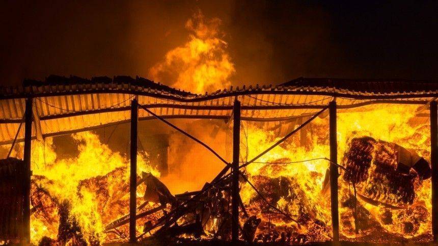 Видео: крупный пожар на складе автозапчастей ликвидировали в Балашихе