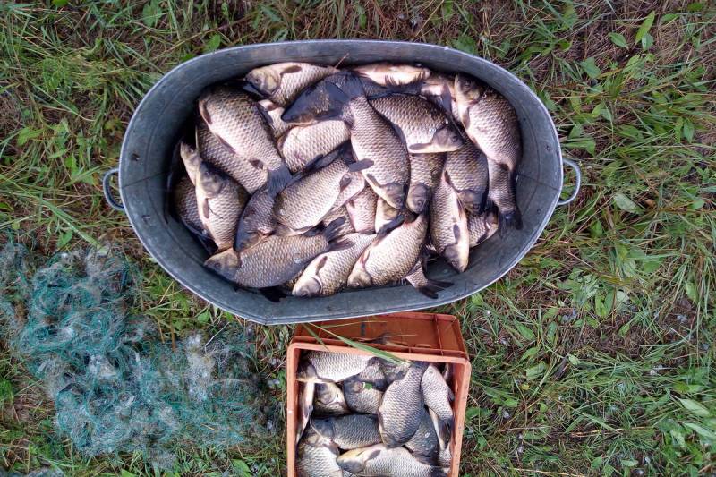 В Курганской области за первое полугодие выросла добыча рыбы