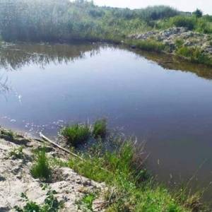 В Черниговской области в пруду утонули двое братьев