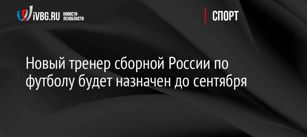 Новый тренер сборной России по футболу будет назначен до сентября