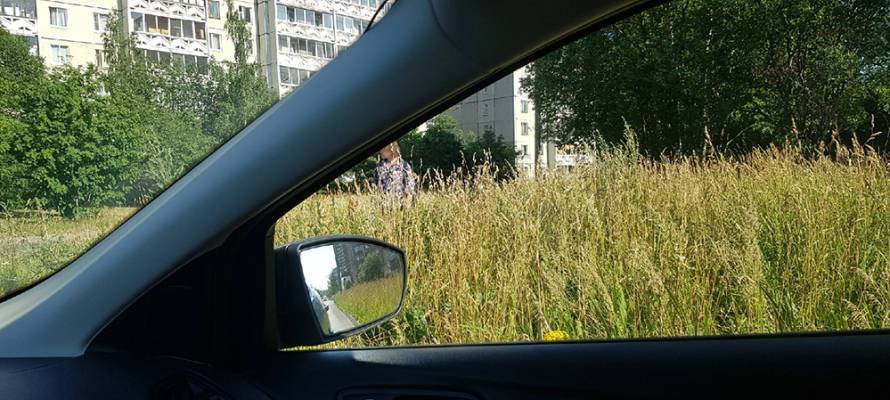Водители микрорайона в Петрозаводске ежедневно рискуют попасть в ДТП из-за нескошенной травы (ФОТОФАКТ)