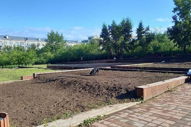 Организация «Зелёный город» высадит газон и цветы на площади Декабристов в Чите