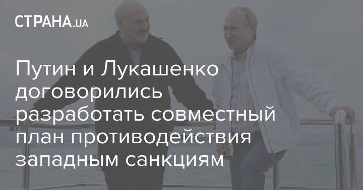 Путин и Лукашенко договорились разработать совместный план противодействия западным санкциям