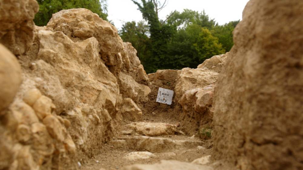 Археологи из Италии обнаружили древнейшие ископаемые микробы