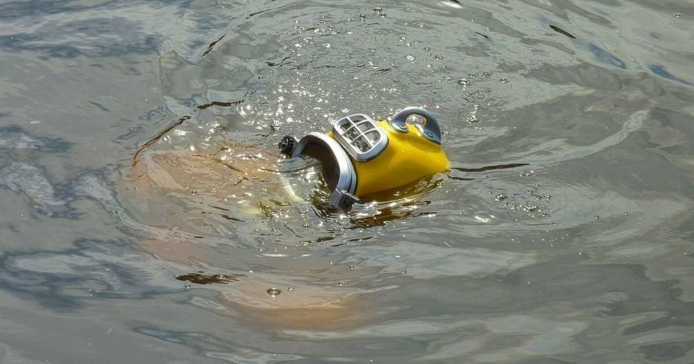 В Финском заливе нашли пропавшую 70 лет назад подводную лодку