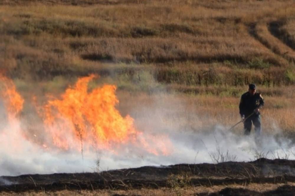 В Хабаровском крае полицейские уничтожили более 360 кг наркотиков