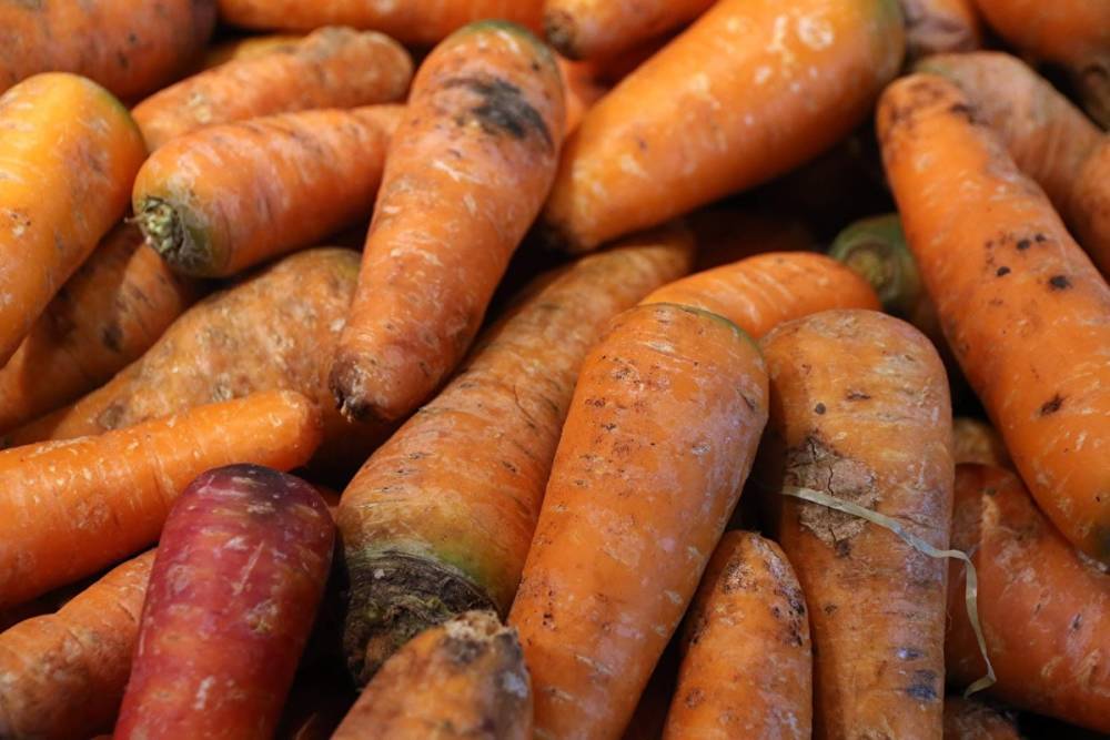В Свердловской области средняя цена моркови официально превысила ₽100 за килограмм