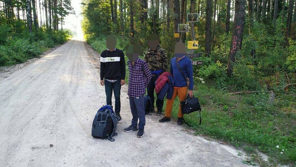 За сутки на границе Литвы с Беларусью задержаны 57 нелегальных мигрантов