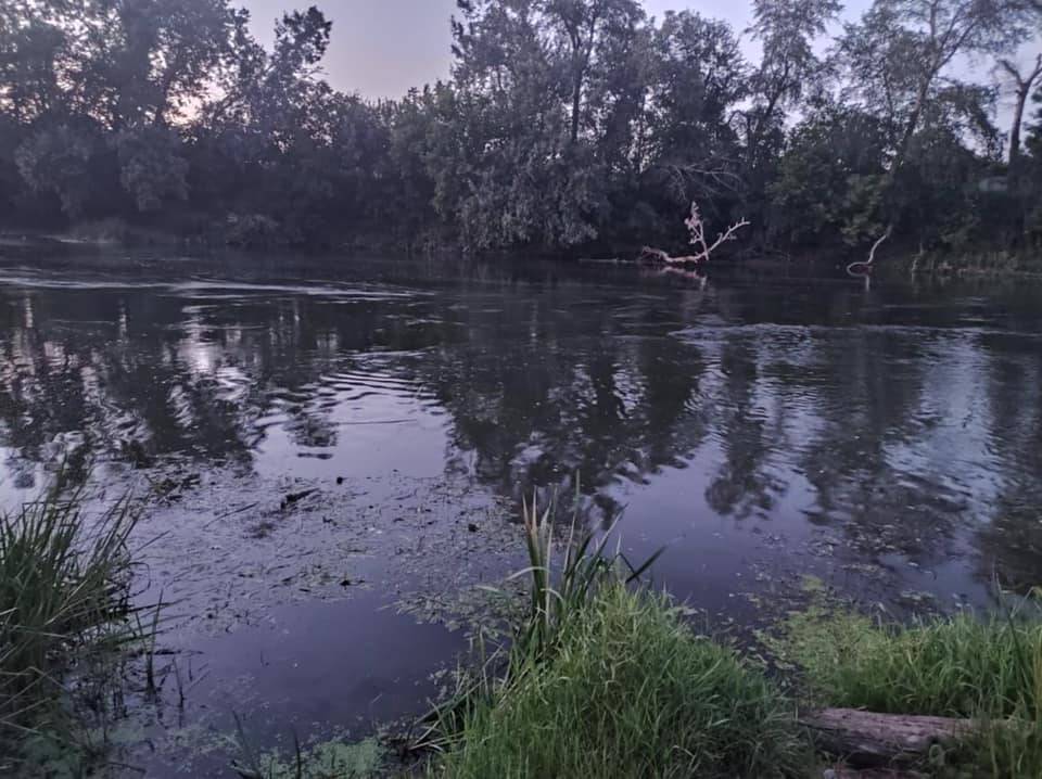 В реке Северский Донец в Лисичанске утонула 9-летняя девочка