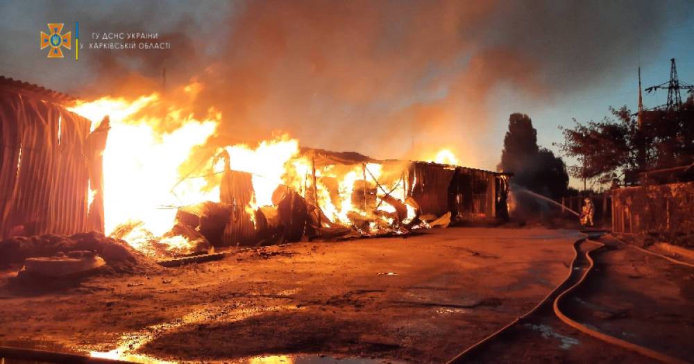 Крупный пожар произошел в Харькове на складе древесины (ФОТО, ВИДЕО)