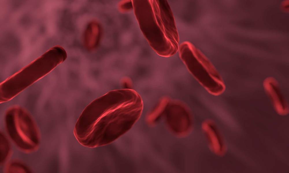 Учёные рассказали о самой устойчивой к раку группе крови