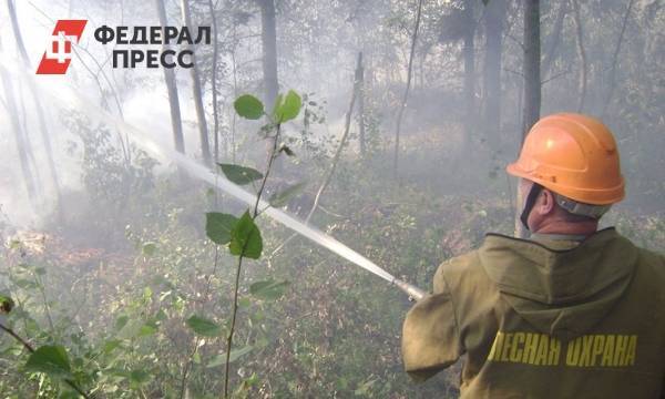 В Карелии 70 человек эвакуировали из-за лесного пожара