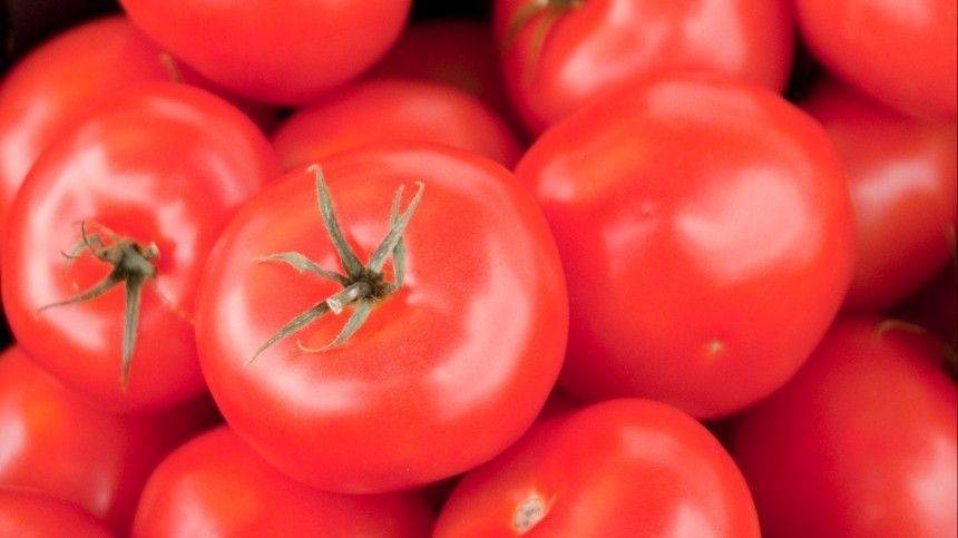 «Помогите, мы в рабстве»: сибирячка нашла тайное послание в упаковке с помидорами