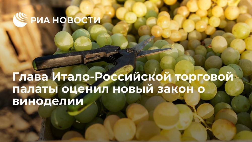 Глава торговой палаты Трани: закон о виноделии не сильно скажется на поставках из Италии