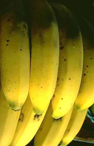 Цены на бананы в России обновили пятилетний рекорд