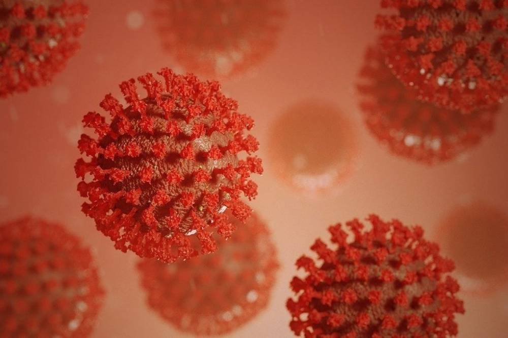В Карелии коронавирусом за сутки заразились более 190 человек