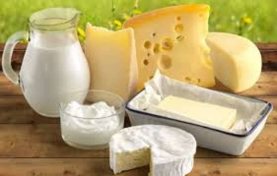 Украинские производители получили возможность нарастить экспорт молочных продуктов в Турцию