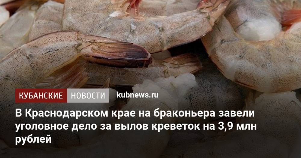 В Краснодарском крае на браконьера завели уголовное дело за вылов креветок на 3,9 млн рублей