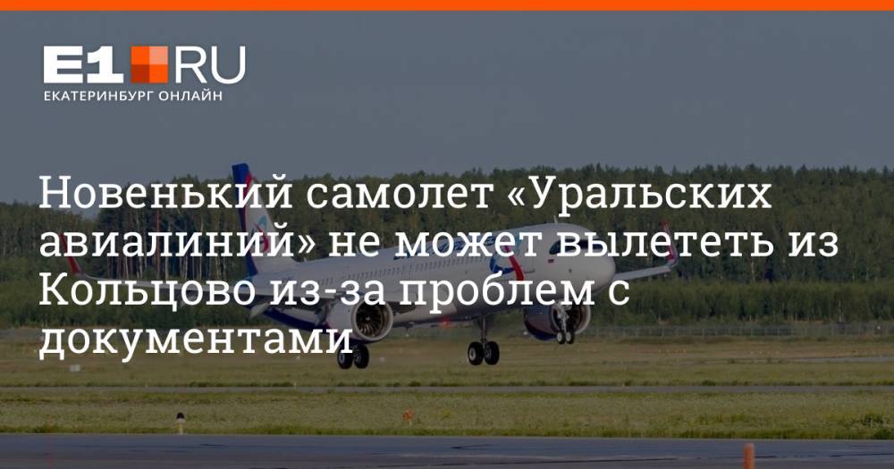 Новенький самолет «Уральских авиалиний» не может вылететь из Кольцово из-за проблем с документами