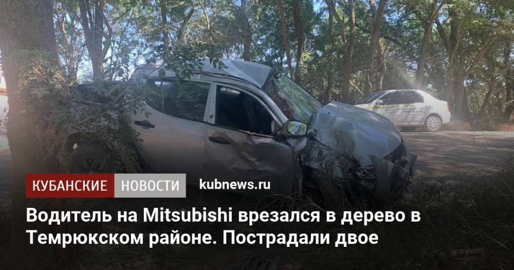 Водитель на Mitsubishi врезался в дерево в Темрюкском районе. Пострадали двое