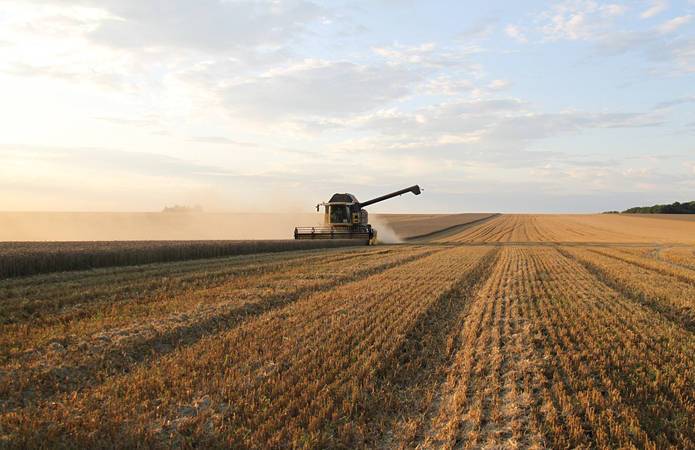 Украинские аграрии намолотили 5,5 млн т зерна