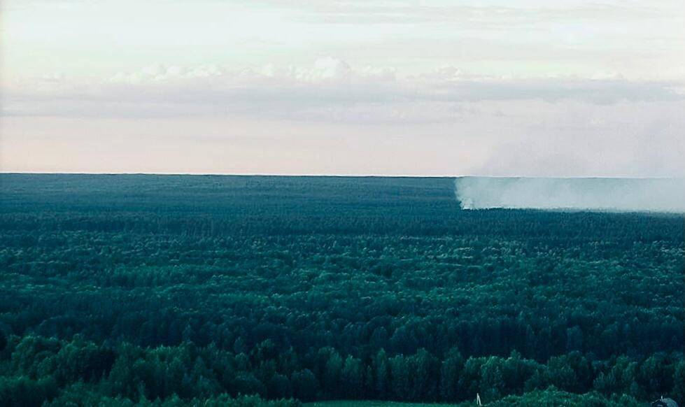 Два лесных пожара потушили в Нижегородской области за сутки