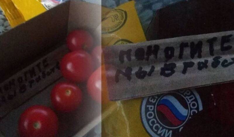 Полицейские Ставрополья изучают найденную в томатах записку "помогите, мы в рабстве"