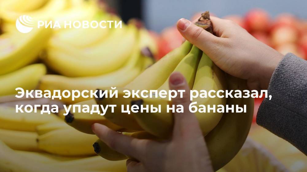 Эквадорский эксперт рассказал, что снижение цен на бананы должно произойти к началу осени