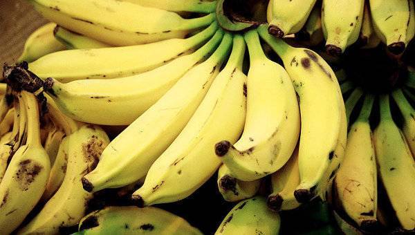 Почему в России подорожали бананы