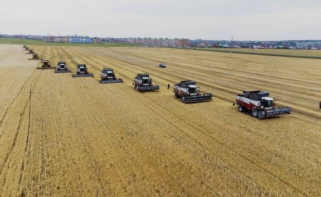 В Татарстане из-за сильной жары снизилась урожайность — видео