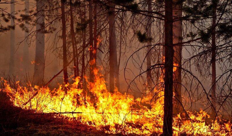 В Бурзянском районе Башкирии горит 13 гектаров леса