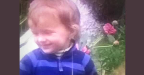 З приватного подвір’я на Львівщині зникла 3-річна дівчинка (фото)