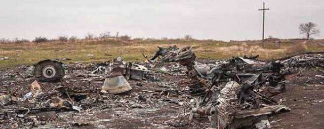 Владимир Зеленский в годовщину катастрофы MH17 призвал наказать виновных в трагедии