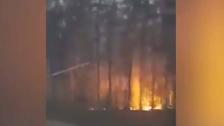 Опубликованы кадры лесных пожаров в Якутии