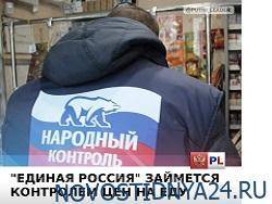«Единая Россия» займется координацией цен на продукты