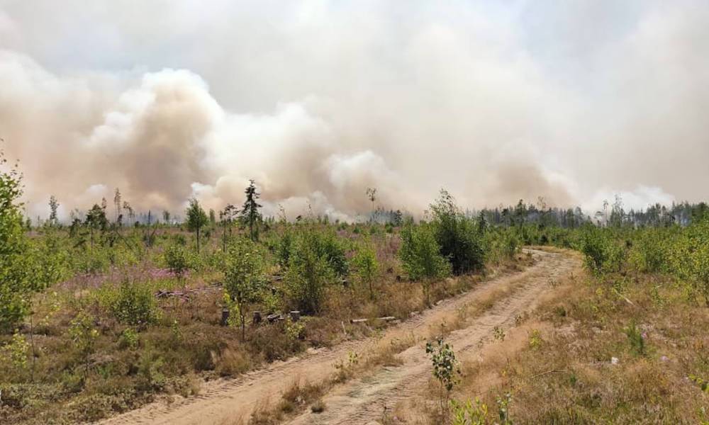 Ситуация с лесным пожаром рядом с карельским поселком остается напряженной