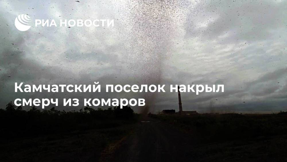 Поселок Усть-Камчатск накрыл смерч из комаров