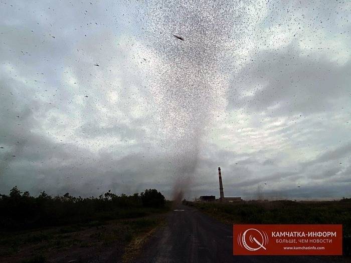 На Камчатке жители засняли торнадо из комаров