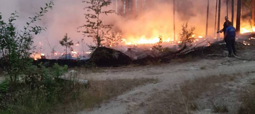 Объявлен сбор вещей и продуктов для населения и добровольных пожарных в зонах бедствия в Карелии
