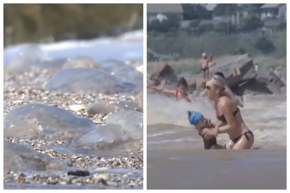 Нашествие медуз в Азовском море выходит за рамки, пострадал ребенок: "На теле появилась..."