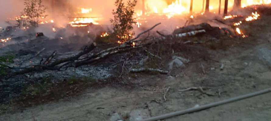 МЧС Карелии подтвердило возгорание построек в поселке из-за лесного пожара