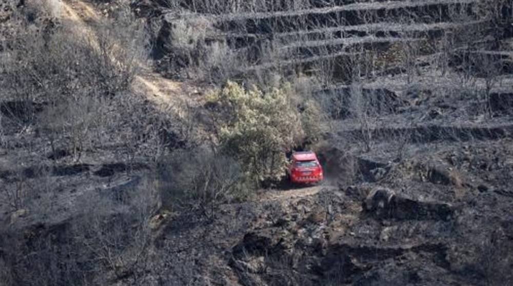 Пожар в Испании уничтожил сотни гектаров природного парка