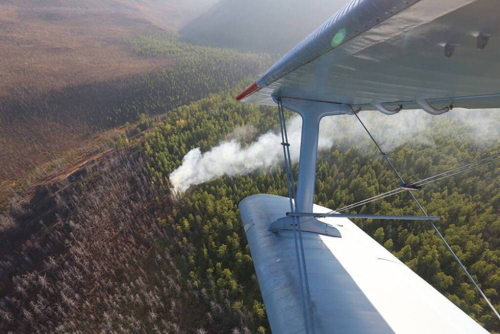 В Костромской области очаги лесных пожаров ищут с помощью авиации