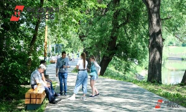 Эколог оценил идею заменить тополя на другие деревья в Екатеринбурге