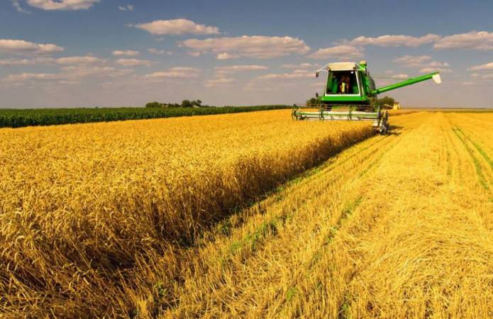 В Украине намолочено почти 300 тыс. т зерна нового урожая