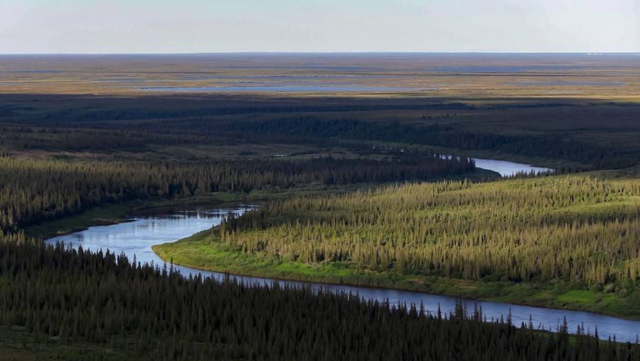 В Ненецком округе едва нашли земли для "арктического гектара"