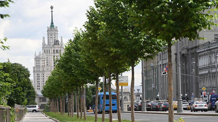 Власти Москвы сообщили о падении уровня безработицы в городе